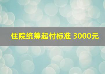 住院统筹起付标准 3000元